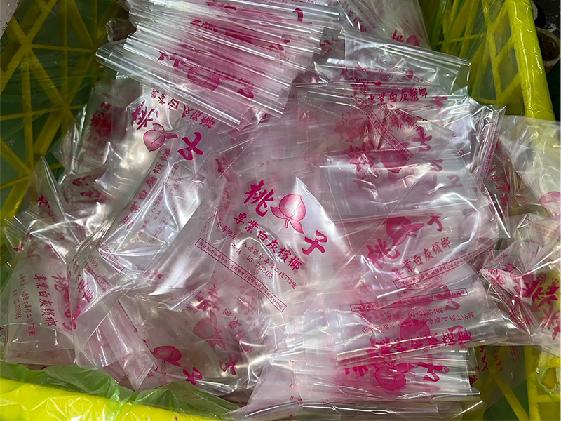 檳榔攤包裝用檳榔夾鏈袋 - 溫晟塑膠檳榔袋客製化單面印刷一色